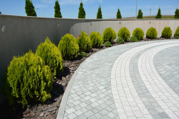 Best Driveway Repair Near Me  in Mocksville, NC